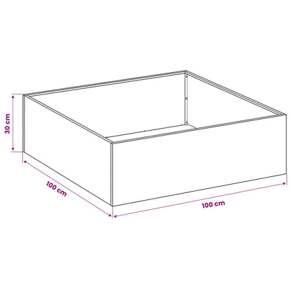 Plantenbak 2 st zilver 100 x 100 x 30 cm Gegalvaniseerd staal
