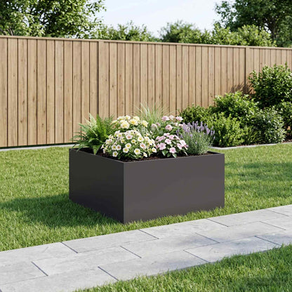 Plantenbak Zwart 60 x 60 x 40 cm Koudgewalst staal