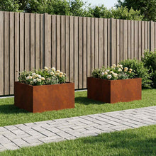 Plantenbak 2 st Roestkleurig 60 x 60 x 40 cm weervast staal