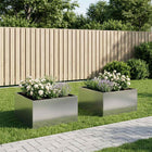Plantenbak 2 st zilver 100 x 100 x 40 cm Gegalvaniseerd staal