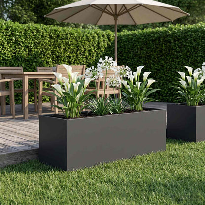 Plantenbak Zwart 40 x 20 x 20 cm Koudgewalst staal