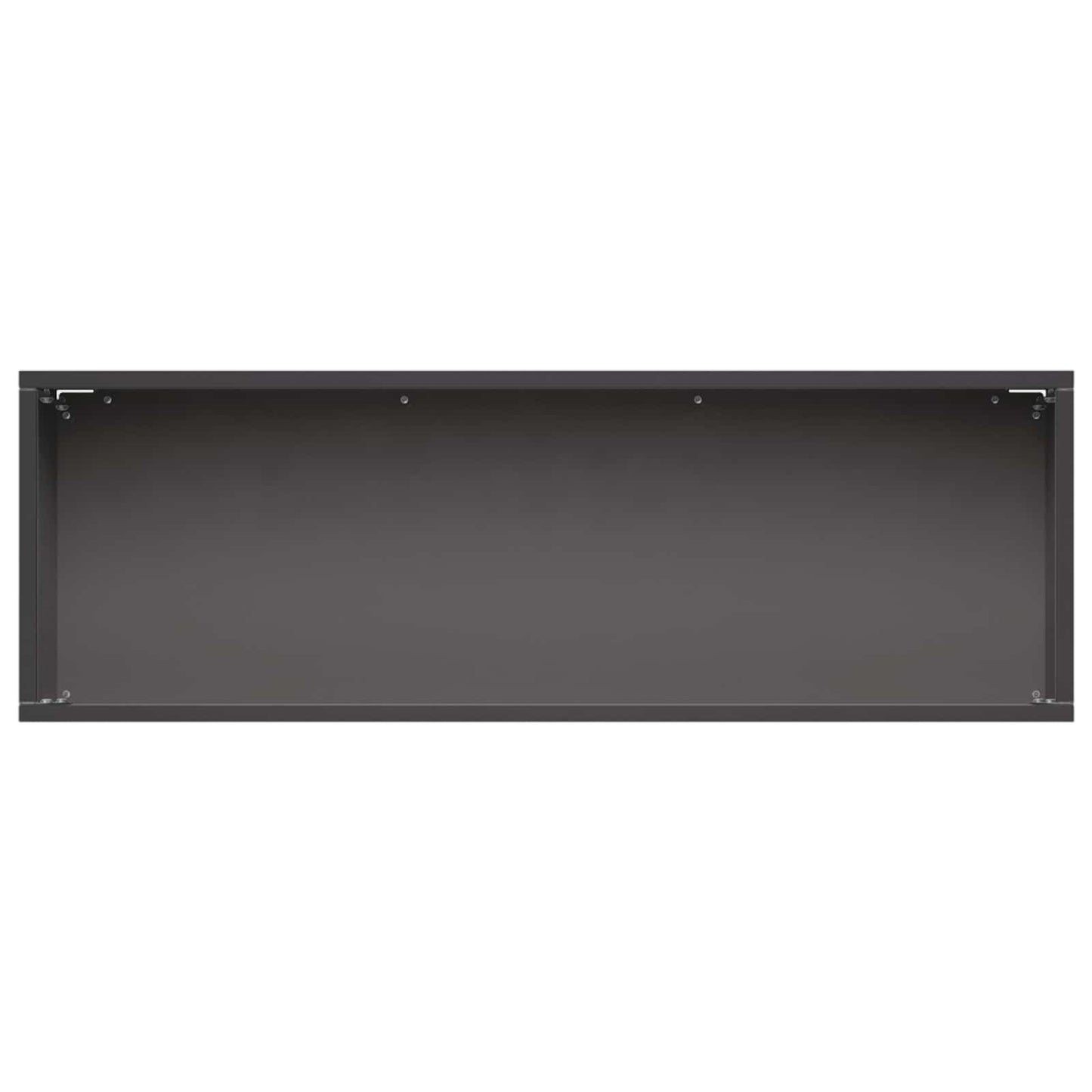 Plantenbak Zwart 40 x 20 x 20 cm Koudgewalst staal