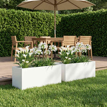 Plantenbak 2 st Wit 40 x 20 x 20 cm Koudgewalst staal