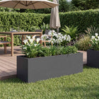 Plantenbak 40x20x20 cm antraciet koudgewalst staal