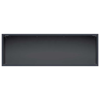 Plantenbak Antraciet 40 x 20 x 20 cm Koudgewalst staal