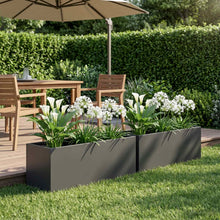 Plantenbak 2 st Zwart 60 x 20 x 20 cm Koudgewalst staal