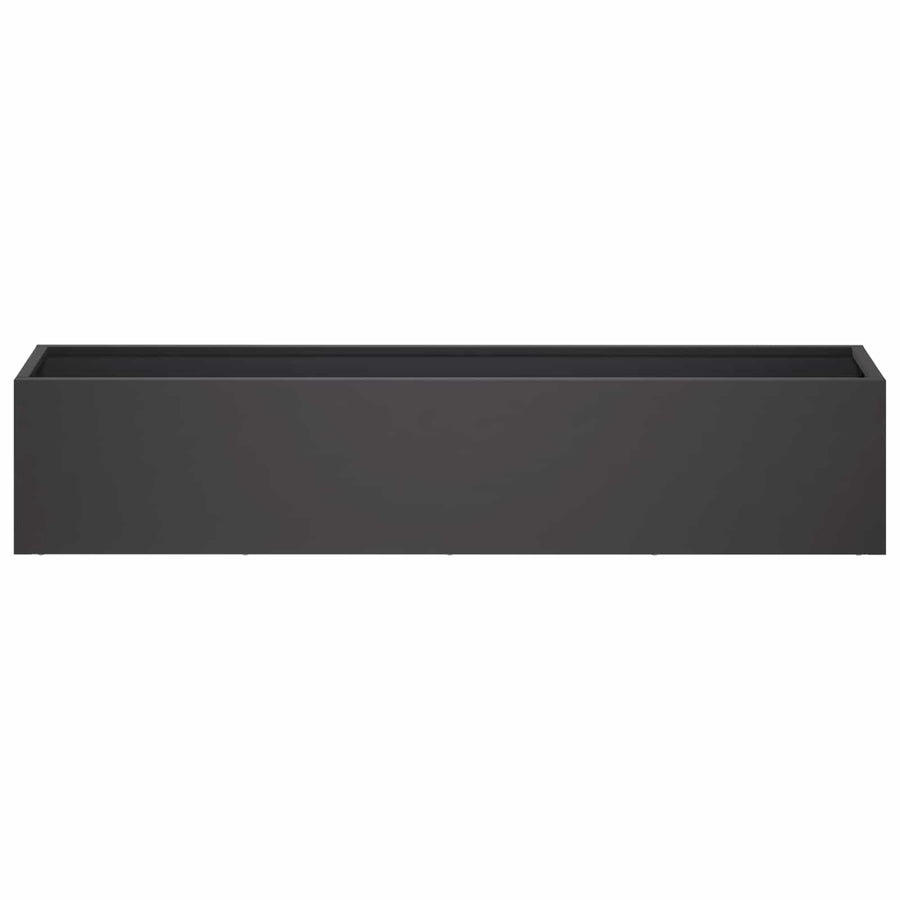 Plantenbak Zwart 100 x 20 x 20 cm Koudgewalst staal