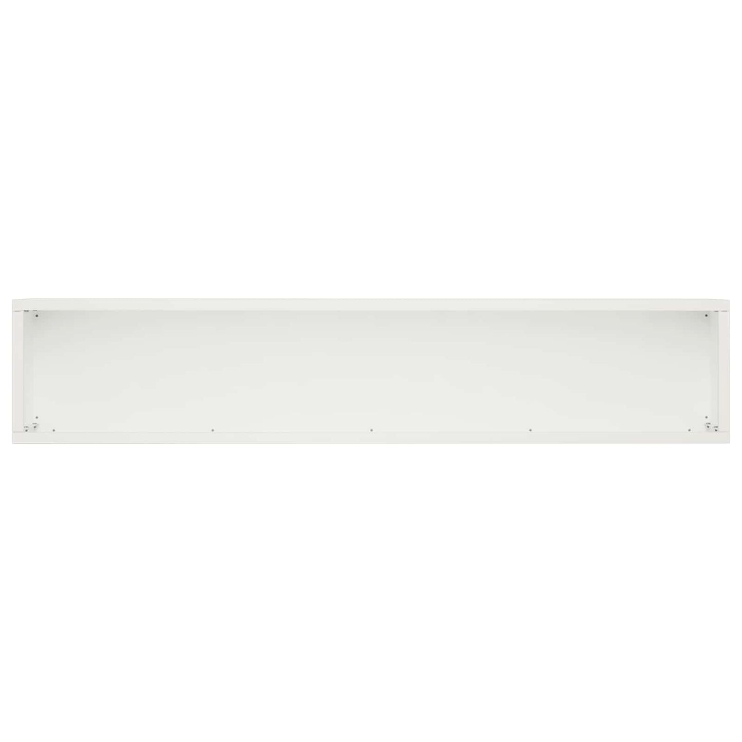 Plantenbak 2 st Wit 100 x 20 x 20 cm Koudgewalst staal