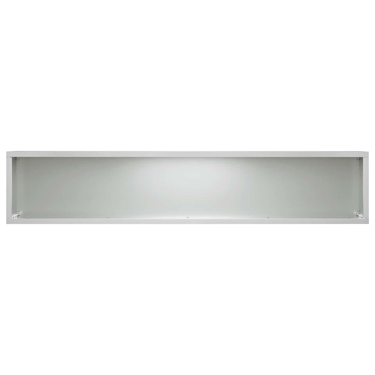 Plantenbak 2 st zilver 100 x 20 x 20 cm Gegalvaniseerd staal