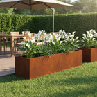 Plantenbak 100x20x20 cm weervast staal