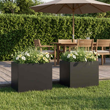 Plantenbak 2 st Zwart 40 x 30 x 30 cm Koudgewalst staal