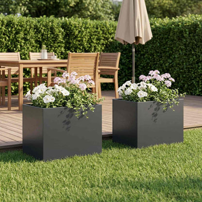 Plantenbak 2 st Antraciet 40 x 30 x 30 cm Koudgewalst staal