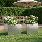 Plantenbak 40x30x30 cm roestvrij staal zilver (2 st)