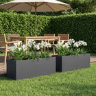 Plantenbak 2 st 80x30x30 cm antraciet staal