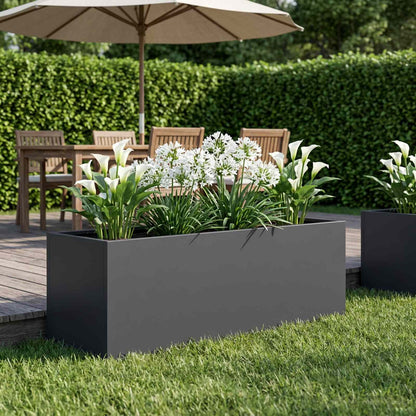 Plantenbak Antraciet 100 x 30 x 30 cm Koudgewalst staal