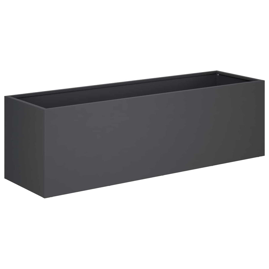 Plantenbak Antraciet 100 x 30 x 30 cm Koudgewalst staal