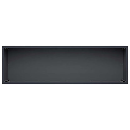 Plantenbak Antraciet 100 x 30 x 30 cm Koudgewalst staal
