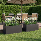 Plantenbak 80x40x40 cm staal zwart 2 st