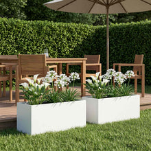 Plantenbak 2 st Wit 80 x 40 x 40 cm Koudgewalst staal