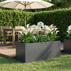 Plantenbak 80x40x40 cm antraciet koudgewalst staal