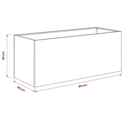 Plantenbak Antraciet 80 x 40 x 40 cm Koudgewalst staal