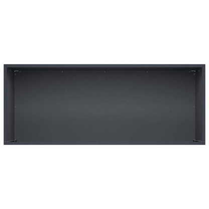 Plantenbak Antraciet 80 x 40 x 40 cm Koudgewalst staal