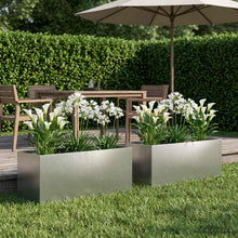 Plantenbak 2 st zilver 80 x 40 x 40 cm Roestvrij staal