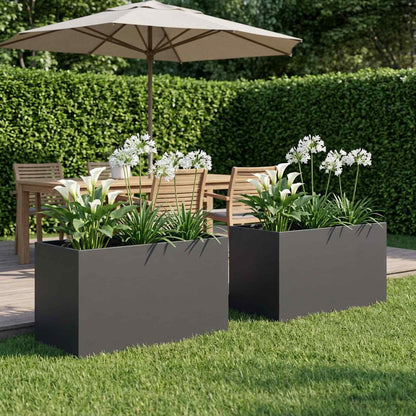 Plantenbak 2 st Zwart 80 x 50 x 50 cm Koudgewalst staal