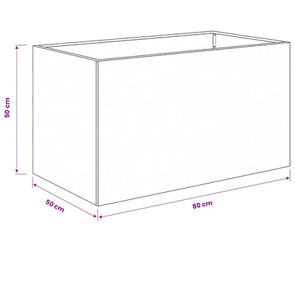 Plantenbak 2 st Zwart 80 x 50 x 50 cm Koudgewalst staal