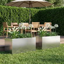 Plantenbak 2 st zilver 80 x 50 x 50 cm Roestvrij staal