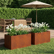 Plantenbak 2 st 80x50x50 cm weervast staal roestkleurig