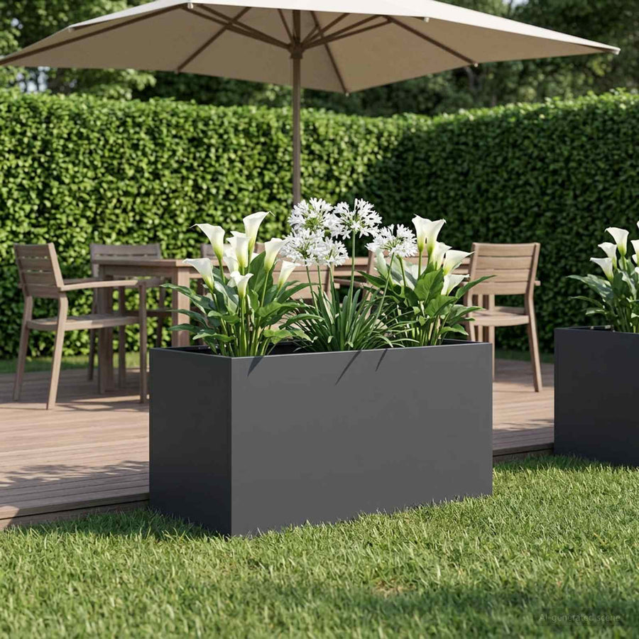 Plantenbak Antraciet 100 x 50 x 50 cm Koudgewalst staal