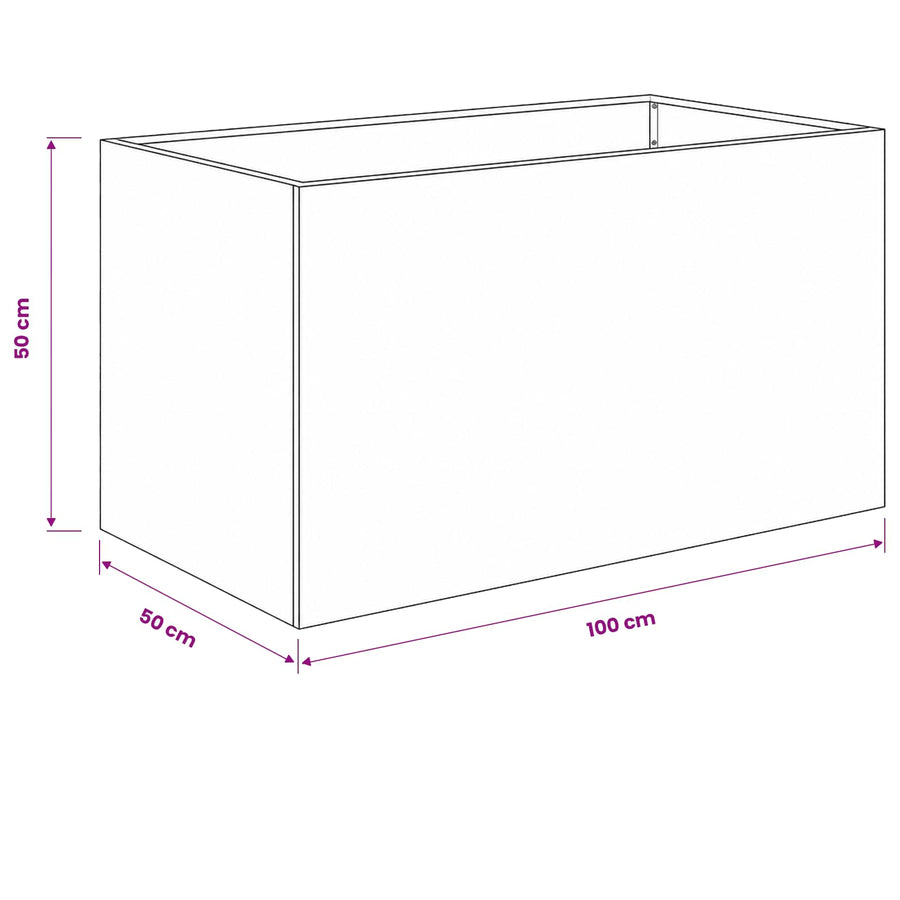 Plantenbak 2 st Antraciet 100 x 50 x 50 cm Koudgewalst staal