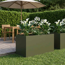 Plantenbak Olijfgroen 100 x 50 x 50 cm Koudgewalst staal