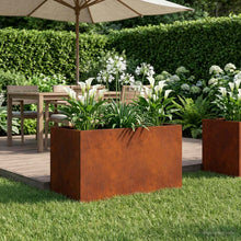 Plantenbak Roestkleurig 100 x 50 x 50 cm weervast staal