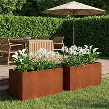 Plantenbak 2 st Roestkleurig 100 x 50 x 50 cm weervast staal