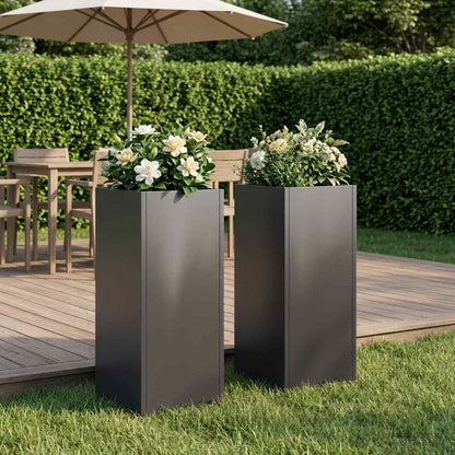 Plantenbak 2 st Zwart 20 x 20 x 50 cm Koudgewalst staal