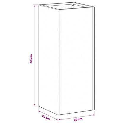 Plantenbak 2 st Zwart 20 x 20 x 50 cm Koudgewalst staal