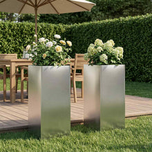 Plantenbak 2 st zilver 20 x 20 x 50 cm Roestvrij staal