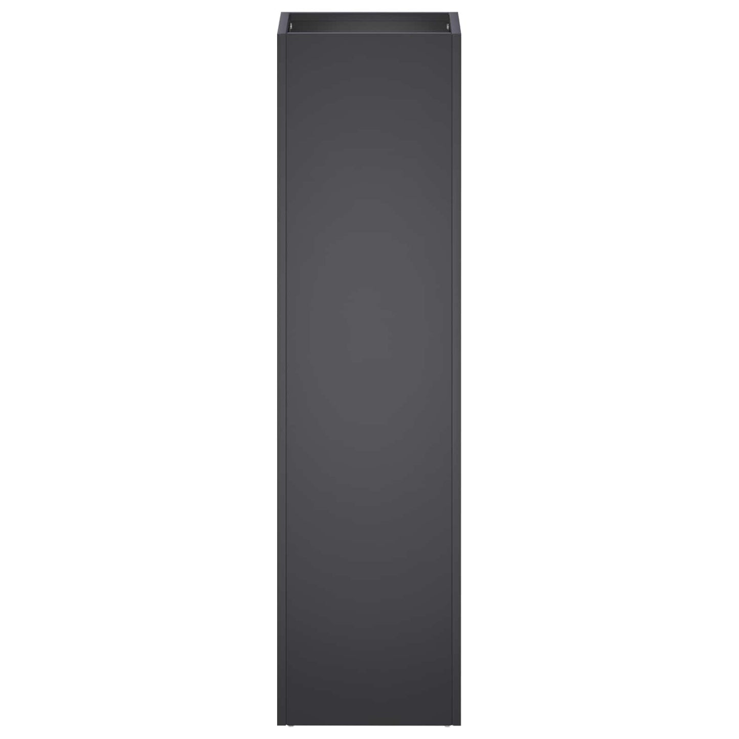 Plantenbak Zwart 20 x 20 x 75 cm Koudgewalst staal