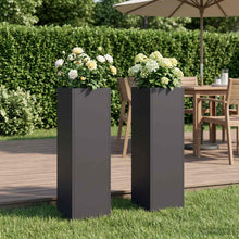 Plantenbak 2 st Zwart 20 x 20 x 75 cm Koudgewalst staal