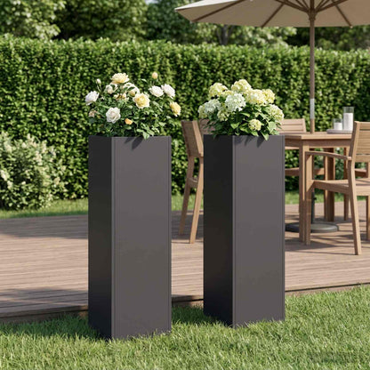 Plantenbak 2 st Zwart 20 x 20 x 75 cm Koudgewalst staal