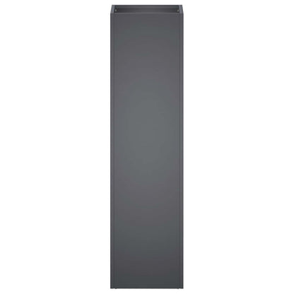Plantenbak 2 st Antraciet 20 x 20 x 75 cm Koudgewalst staal