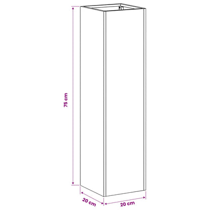 Plantenbak 2 st Antraciet 20 x 20 x 75 cm Koudgewalst staal