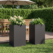 Plantenbak 2 st Zwart 30 x 30 x 40 cm Koudgewalst staal