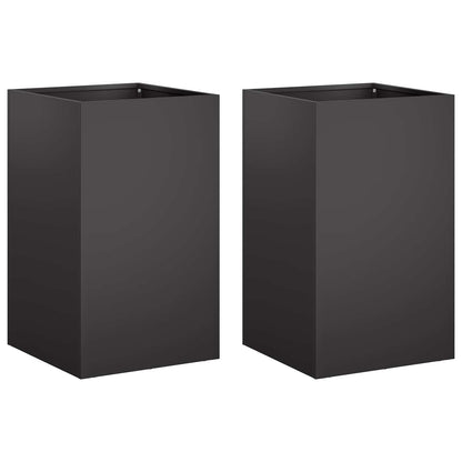 Plantenbak 2 st Zwart 30 x 30 x 40 cm Koudgewalst staal