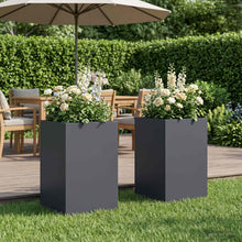 Plantenbak 2 st Antraciet 30 x 30 x 50 cm Koudgewalst staal