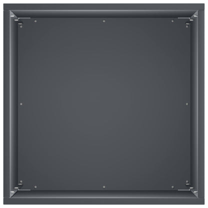 Plantenbak 2 st Antraciet 30 x 30 x 50 cm Koudgewalst staal