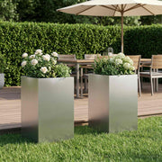 Plantenbak 2 st 30x30x50 cm zilver roestvrij staal
