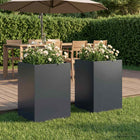 Plantenbak set 2 st 50x50x75 cm antraciet staal